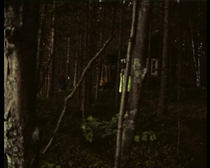 Going into the forest on the Island Laitosaari